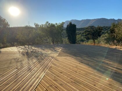 Yoga Adventures