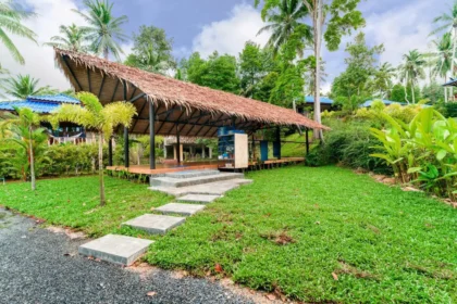 Wonderland Healing Center