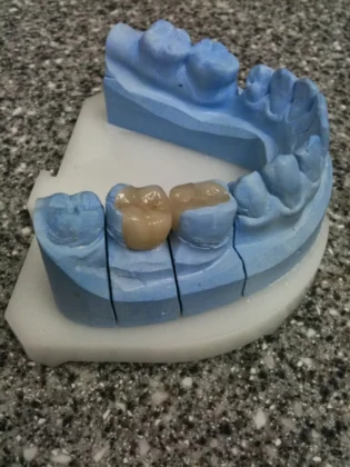 Barbour Dental Care