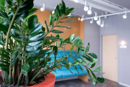 Save on Dental Care – SODC Dental Clinic