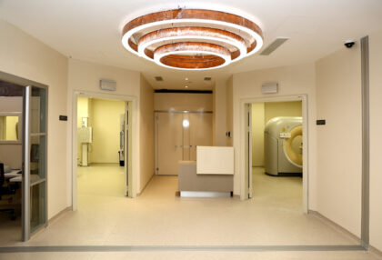 NP Istanbul Brain Hospital