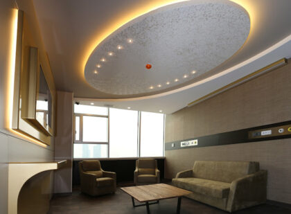 NP Istanbul Brain Hospital