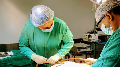 Universal Plastic Surgery Universal Plastic Surgery