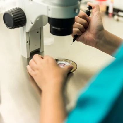 IMF Instituto Madrileno de Fertilidad