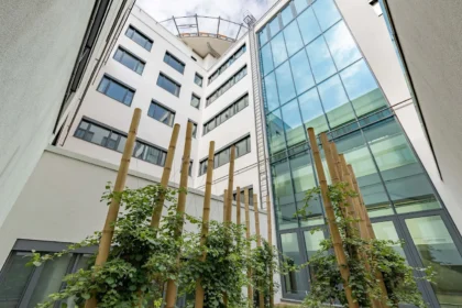 Clinic Frankfurt Höchst