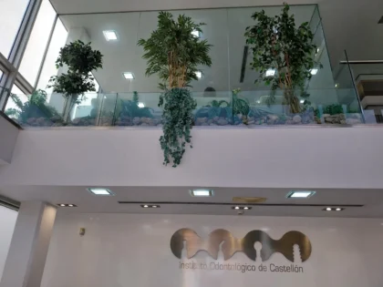 Instituto Odontologico de Castellon