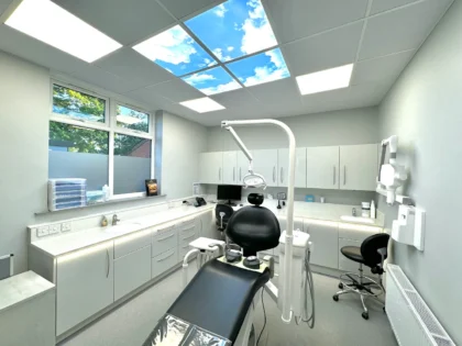 The Dental Practice