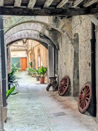 Tuscan Fitness