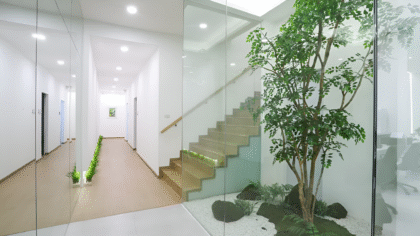 Edelweiss Dental House