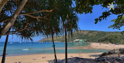 Mangosteen Ayurveda & Wellness Resort