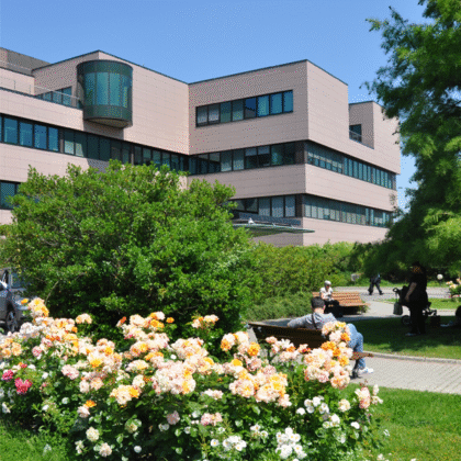 Humanitas Research Hospital Humanitas Research Hospital