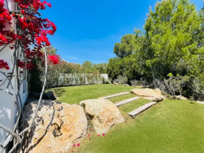 Malva Retreats Ibiza