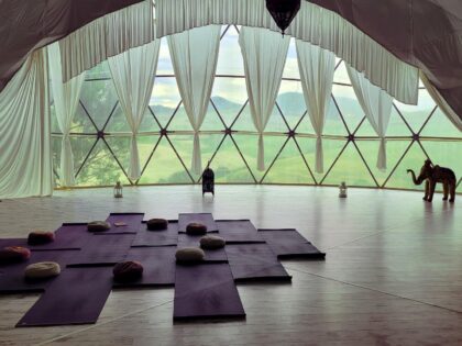 Malva Yoga