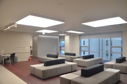 Seoul Miz Hospital (서울미즈병원)