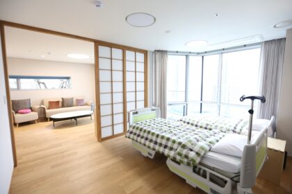 Seoul Miz Hospital (서울미즈병원)