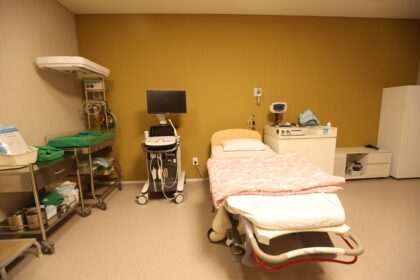 Seoul Miz Hospital (서울미즈병원)
