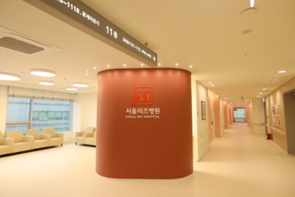 Seoul Miz Hospital (서울미즈병원)