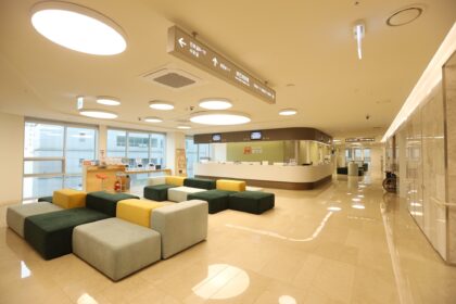 Seoul Miz Hospital (서울미즈병원)