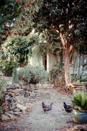 Mettaformo Retreats