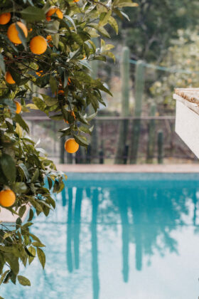 Mettaformo Retreats