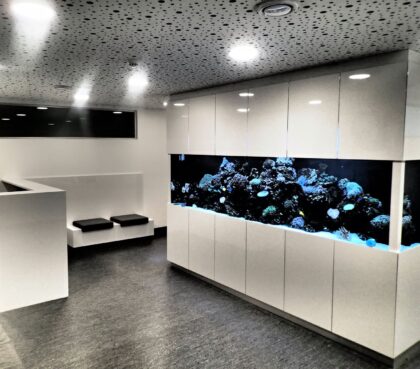 Dental Care Center Black Swan