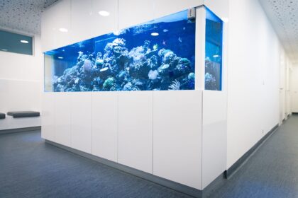 Dental Care Center Black Swan