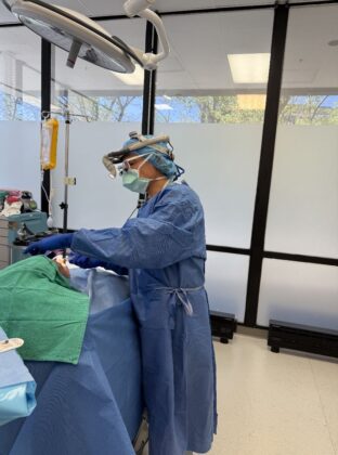Chicago Aesthetic Surgery Institute – Dr. Szczerba