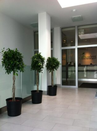 Albusdent Dentistry Centre