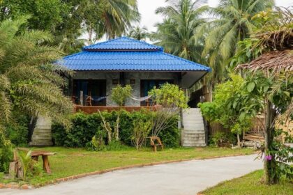 Wonderland Healing Center