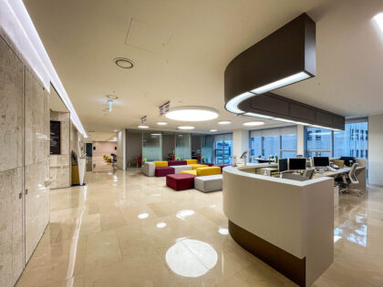 Seoul Miz Hospital (서울미즈병원)