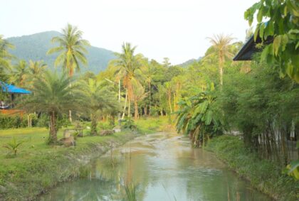 Wonderland Healing Center