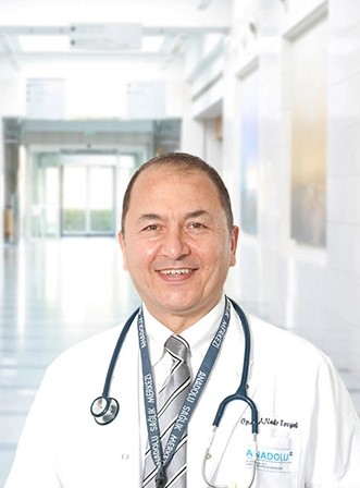 Ahmet Nadir Tosyali Ahmet Nadir Tosyalı