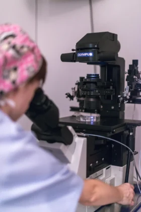 IMF Instituto Madrileno de Fertilidad
