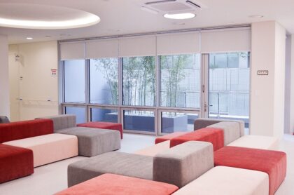 Seoul Miz Hospital (서울미즈병원)