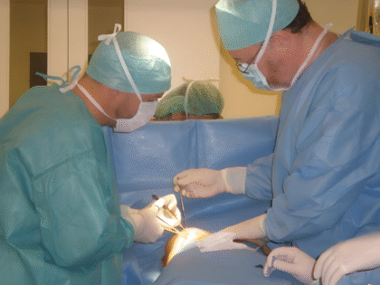 Dr. Molnar Clinic