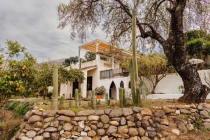Mettaformo Retreats