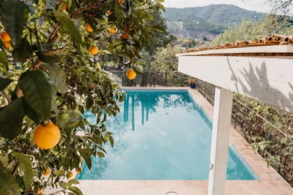 Mettaformo Retreats