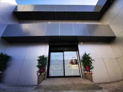 Universal Plastic Surgery Universal Plastic Surgery