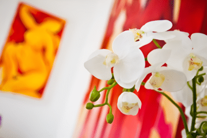 Dr Alexandra Chambers Clinic