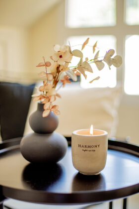 Inharmoni Rehab Marbella
