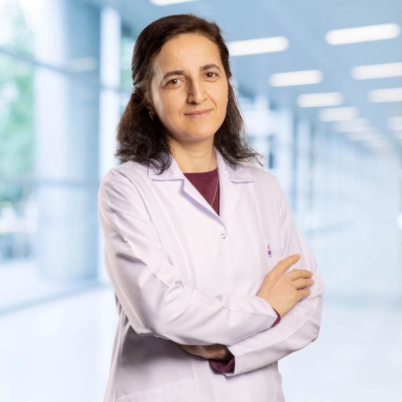Leyla Yilmaz Aydin Leyla Yılmaz Aydın