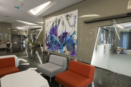 Liv Hospital Vadistanbul