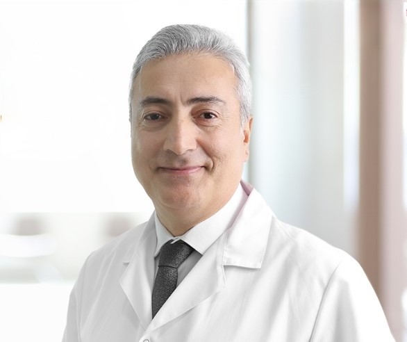 Melik Ayverdi Melik Ayverdi