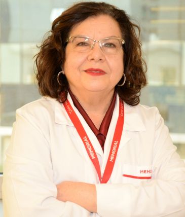 Oya Ercan Oya Ercan