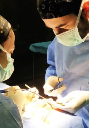 Dr. Yavuz Özsular’s Private Practice Dr. Yavuz Özsular’s Private Practice