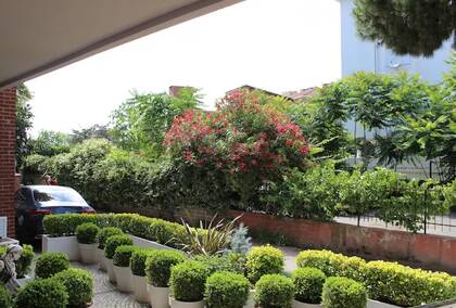 UnitedCare Hair Transplant Clinic