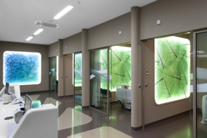 Liv Hospital Ulus