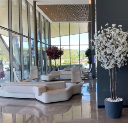 Estherian Clinic