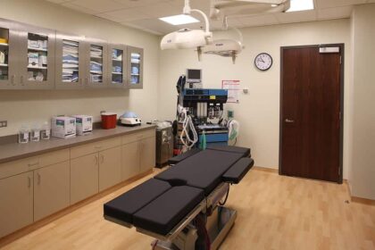 The Art of Plastic Surgery: Gregory A. Wiener