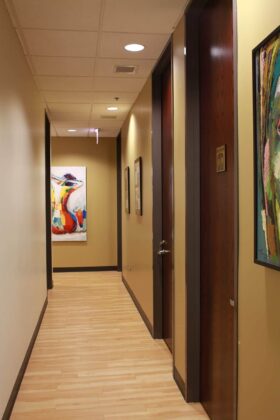The Art of Plastic Surgery: Gregory A. Wiener